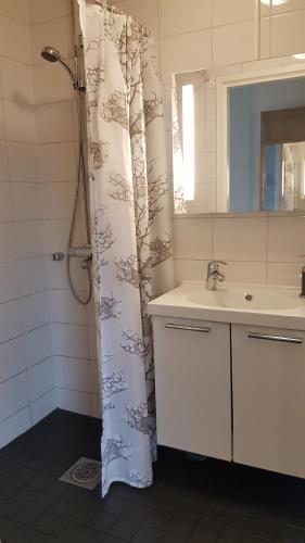 bagno con tenda per la doccia e lavandino di Hotelli Viikinhovi a Keuruu