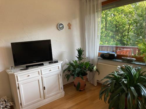 a living room with a flat screen tv on a white cabinet at Ferienwohnung Katja in Wilnsdorf