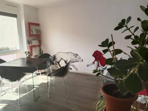Appartement Street-art