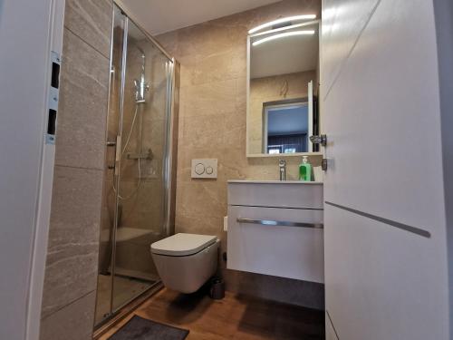 La salle de bains est pourvue d'une douche, de toilettes et d'un lavabo. dans l'établissement Villa Lamanova, à Rovinj