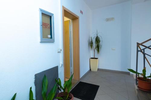 a hallway with potted plants next to a door at Hana apartament hot tub in Vlorë