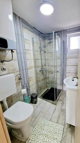 a bathroom with a shower and a toilet and a sink at Vila Neyra in Pula