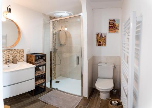 a bathroom with a shower and a toilet and a sink at Leptitchezsoi, calme et cosy à 5 mn du centre de Bayeux in Vaucelles