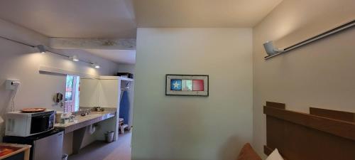 a bathroom with a sink and a microwave at Hot Springs Inn in Ouray