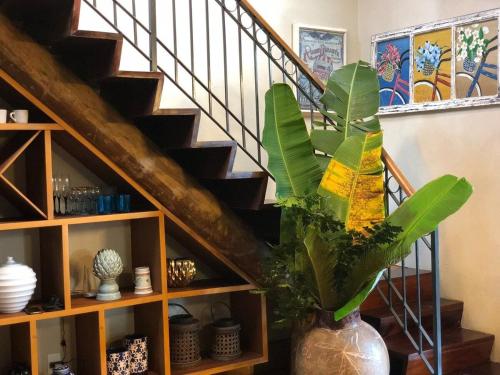 a staircase with a vase with a plant in it at Casa Carmel, Búzios in Búzios