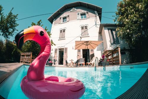 un flotteur de flamants roses dans une piscine dans l'établissement Le sérénité - T3 en maison de ville avec piscine, à Annecy