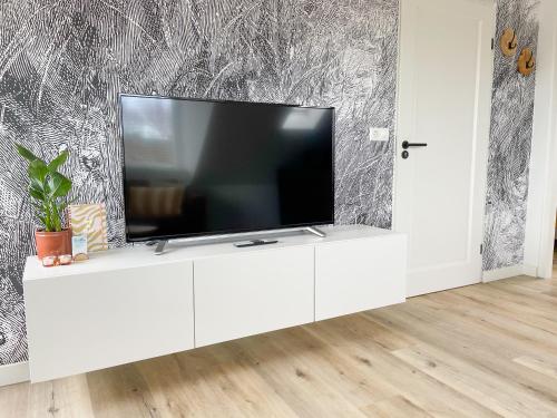 Televisyen dan/atau pusat hiburan di Bij het bos Texel
