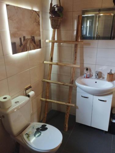 a bathroom with a toilet and a sink at Osada nad żurawim stawem in Krzywogoniec