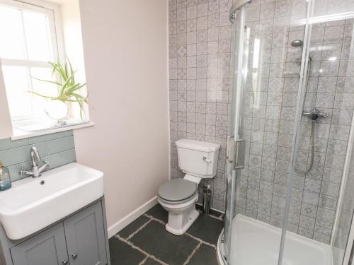 a bathroom with a toilet and a sink and a shower at Ystabl Robyn in Carmarthen