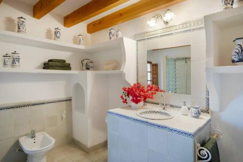 Ca na Sió , el mar a tus pies في Cielo de Bonaire : حمام مع حوض ومرحاض ومرآة