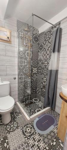 bagno con doccia e servizi igienici. di Taverna -Sunce- with jacuzzi a Vis