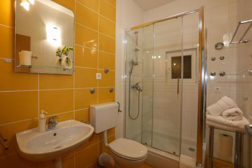 a bathroom with a shower and a toilet and a sink at Apartments Stipe Plazibat in Hvar