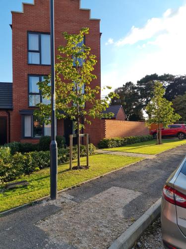 a small tree in front of a brick building at Mills Home Stays in Derby