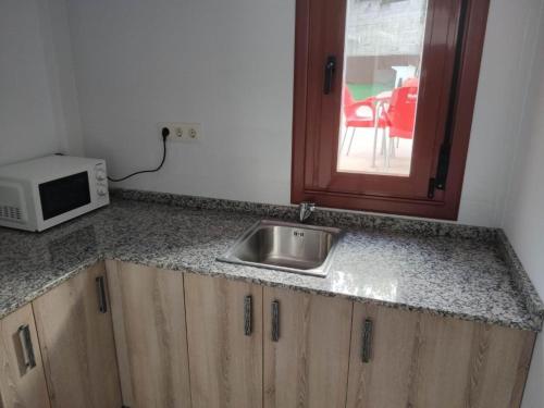 encimera de cocina con fregadero y microondas en Albergue Miraiso, en Arzúa