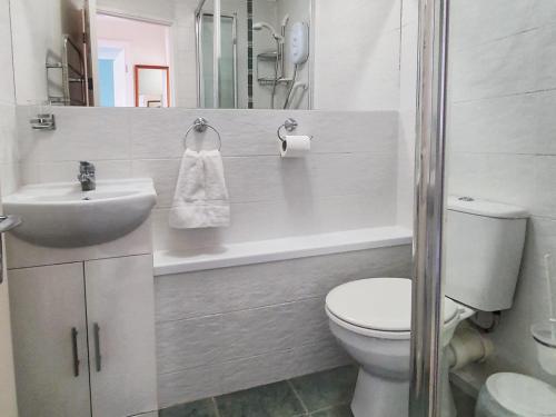 a white bathroom with a toilet and a sink at Dart Haven - cheerful holiday bungalow in Galmpton in Galmpton-on-the-Dart