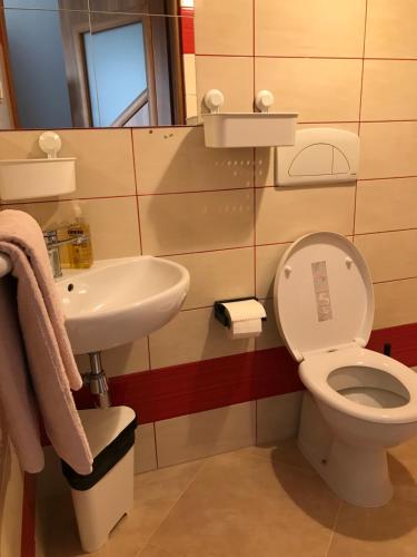 La salle de bains est pourvue de toilettes et d'un lavabo. dans l'établissement Noclegi VIVA, à Mszczonów