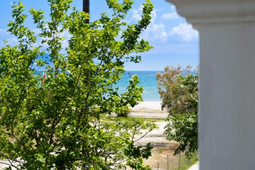 a view of the beach from a house at Apartment Iole in Póndi
