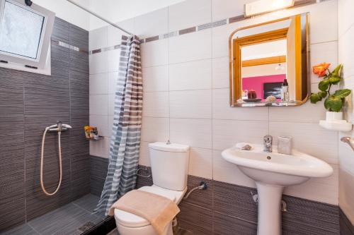 a bathroom with a sink and a toilet and a mirror at Apartment Iole in Póndi