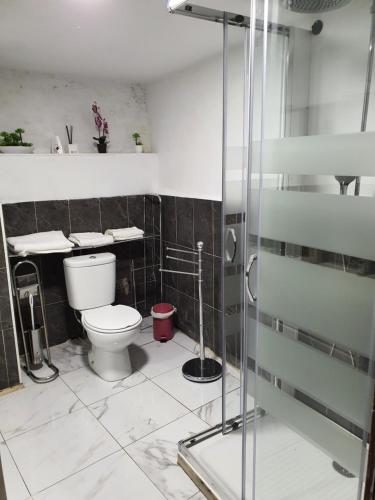 ein Badezimmer mit Toilette und Glasdusche in der Unterkunft Casa Manuel in Toldaos