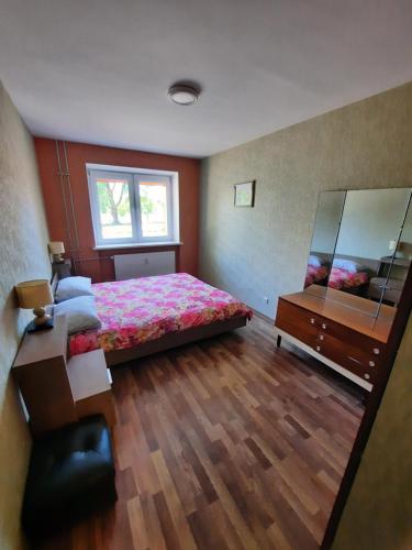 a bedroom with a bed and a dresser and a mirror at Danės Apartamentai in Klaipėda