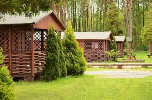 a log cabin in the woods with a picnic table at Ośrodek Wczasowy Na wydmach in Wicie