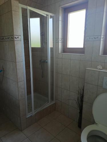 y baño con ducha y aseo. en Ubytovani Trojakova, en Český Krumlov