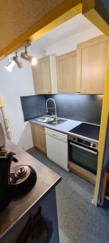 une petite cuisine avec un évier et une cuisinière dans l'établissement Le Bois des Lièvres, à Saint-Pierre-de-Chartreuse