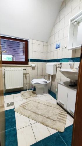 a bathroom with a toilet and a sink at Fantastic Apartment Brglez in Bohinjska Bela