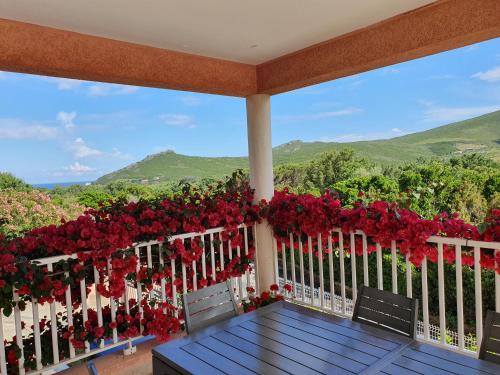 CAP CORSE VILLA VUE MER et MONTAGNE