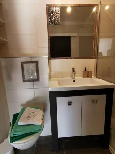 une salle de bain avec un lavabo, des toilettes et un miroir dans l'établissement Grand studio calme bien situé, à Cagnes-sur-Mer