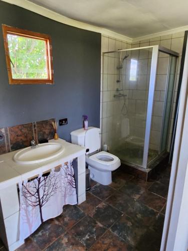 La salle de bains est pourvue de toilettes, d'un lavabo et d'une douche. dans l'établissement Mulberry Country Cottage, à Brits