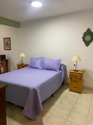 a bedroom with a purple bed and two night stands at Depto Centro in San Luis