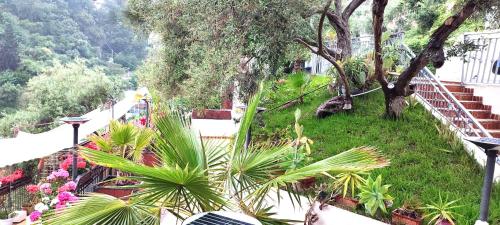 a garden with palm trees and flowers on a hill at Villa Arianna B&B in Taormina
