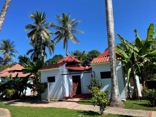 Palms Lounge Cabarete – Fotografie 3