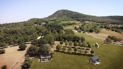 an aerial view of a farm with a house and trees at Istvándy Birtok in Káptalantóti