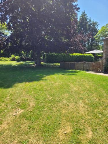 a large yard with a tree in the middle at Au chant des oiseaux in Rochefort