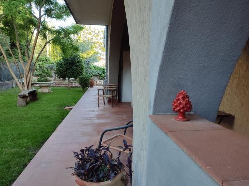 a porch of a house with a potted plant at Casa degli Ulivi Etna in Ragalna