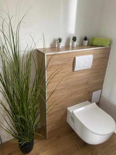 a bathroom with a toilet and some potted plants at Wellness Apartments Sunset in Zadar
