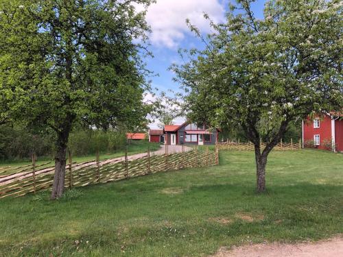 two trees in a field next to a wooden fence at Joarsbo, Stuga 3, Klinten in Kalv