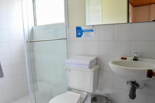 La salle de bains est pourvue de toilettes, d'un lavabo et d'une douche. dans l'établissement Hotel Villa Vianney, à Paipa