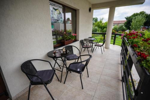 Fotografie z fotogalerie ubytování PENSIUNEA OCTAVIAN v destinaci Horezu