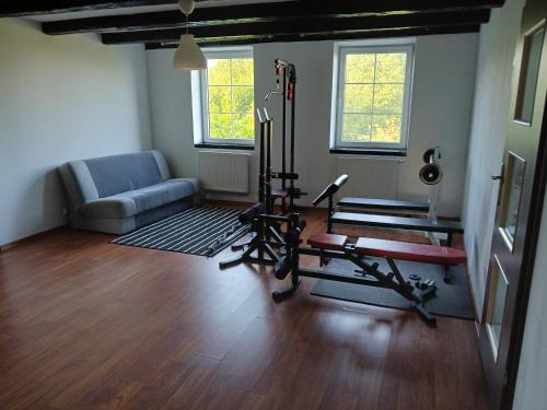 a living room with a gym with a couch and a treadmill at Agroturystyka Pod Dębem in Jonkowo