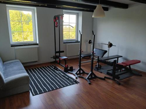 a living room with a gym with exercise equipment at Agroturystyka Pod Dębem in Jonkowo