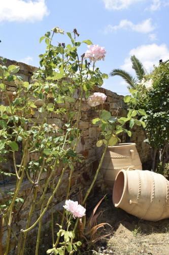 un water seduto accanto a un muro di pietra con fiori rosa di Tranquil Apartments a Naxos Chora