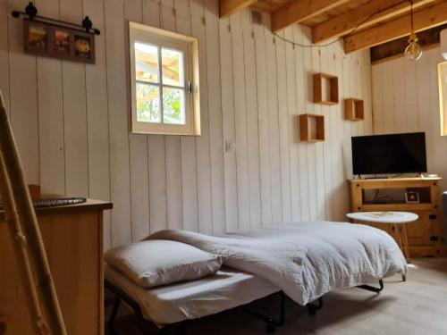 a bedroom with a bed and a window and a television at Le Domaine de la Claire Fontaine gites & chambres d'hôtes avec spas privatifs in Montvalent