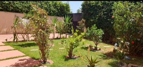 un jardin avec des arbres et des plantes dans l'herbe dans l'établissement Lhaja home, à Casablanca