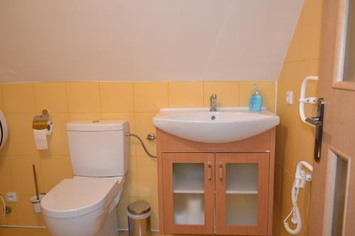 a bathroom with a toilet and a sink at Vinný sklep Pod zámkem in Jaroslavice