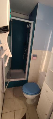 La salle de bains est pourvue d'une douche et de toilettes bleues. dans l'établissement Studio et parking privé bord de mers, au Cap d'Agde