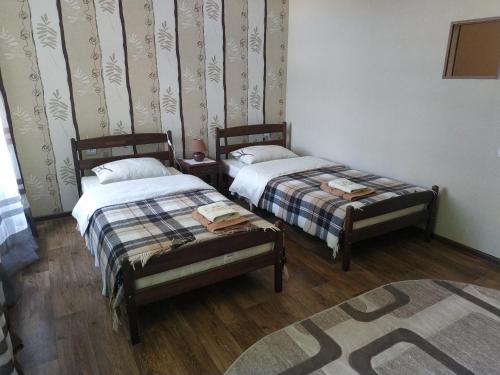 カームヤネツィ・ポジーリシクィイにあるApartment in the center of old townのベッド2台とラグが備わる客室です。