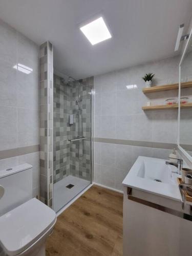 a bathroom with a shower and a toilet and a sink at Santa Monica Suites, 2 hab con terraza, parking y playa a 5 min a pie in Aguadulce